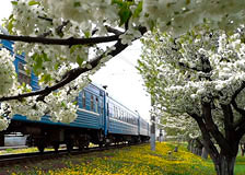 Более 100 дополнительных поездов назначила Белорусская железная дорога на период майских праздников