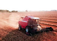 Сельскохозяйственные организации Белорусской железной дороги убрали уже почти половину урожая зерновых и зернобобовых культур 