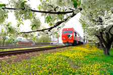 Белорусская железная дорога в период майских праздников перевезла во всех видах сообщений более 1 млн 700 тыс. пассажиров