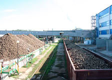 5 сентября Белорусская железная дорога приступила к перевозке сахарной свеклы урожая 2023 года