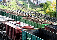 Белорусская железная дорога приступила к перевозке свеклы урожая нынешнего года